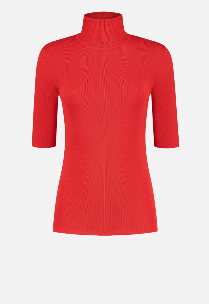 NIKKIE Jolie Turtle SS Top Coltrui NIKKIE Jolie Turtle SS Top Coltrui