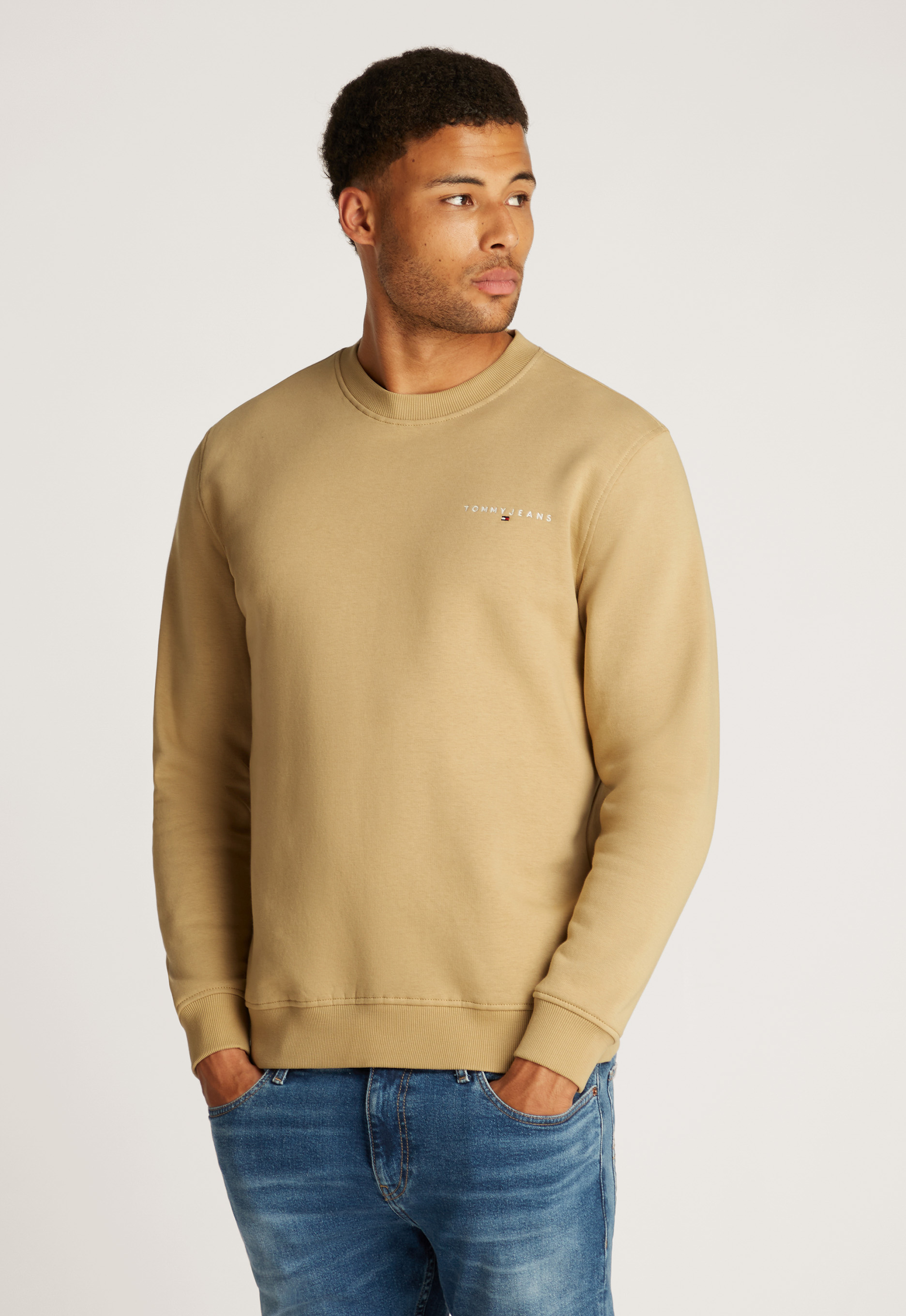 Tommy Jeans Linear Crew Sweater