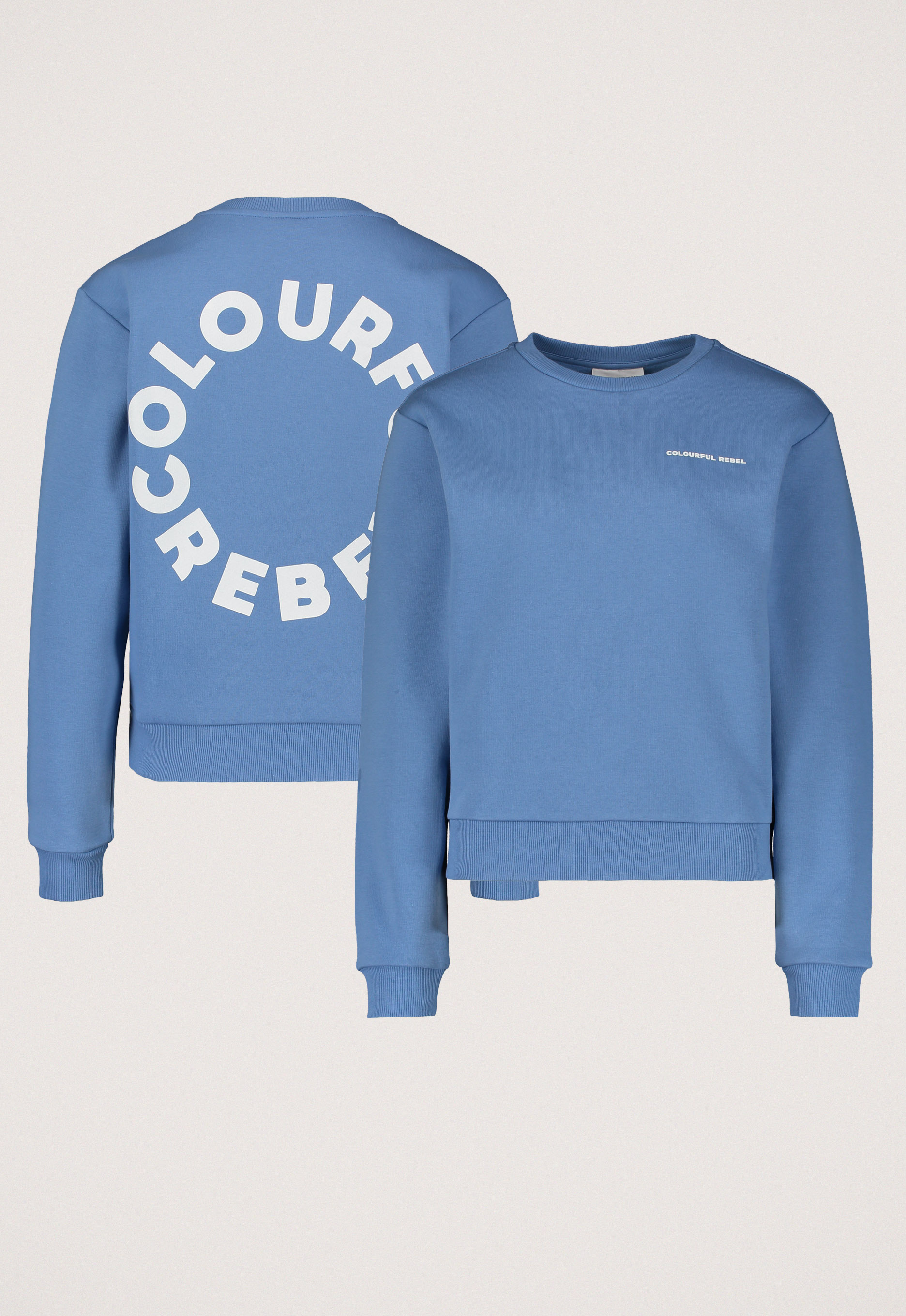 Colourful Rebel Logo Circle Sweater