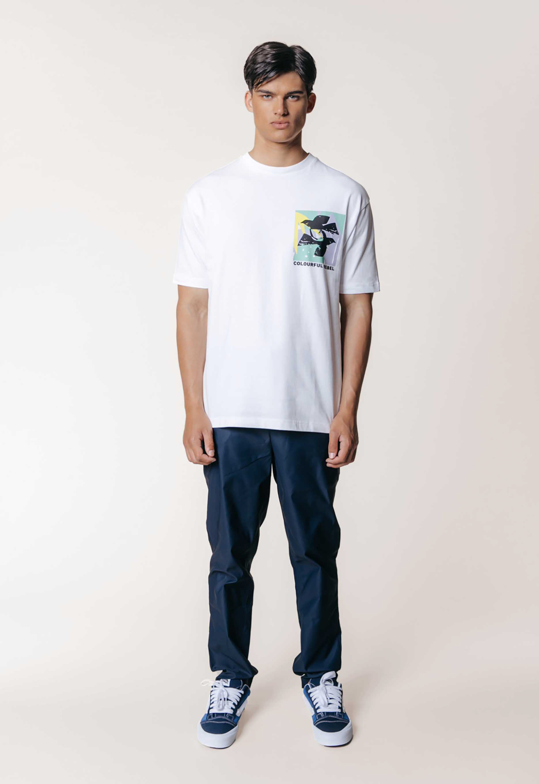Colourful Rebel Birds Frame Basic T-shirt