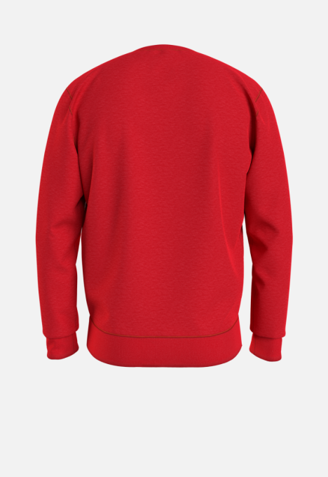 Reg Fleece Crewneck Sweater