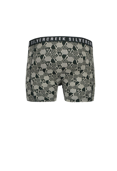 Brixton Boxershort