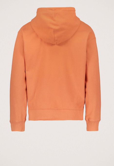 Graphic Standard Hoodie Sweater 