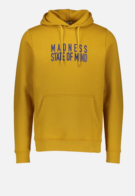 Mind Hoodie 