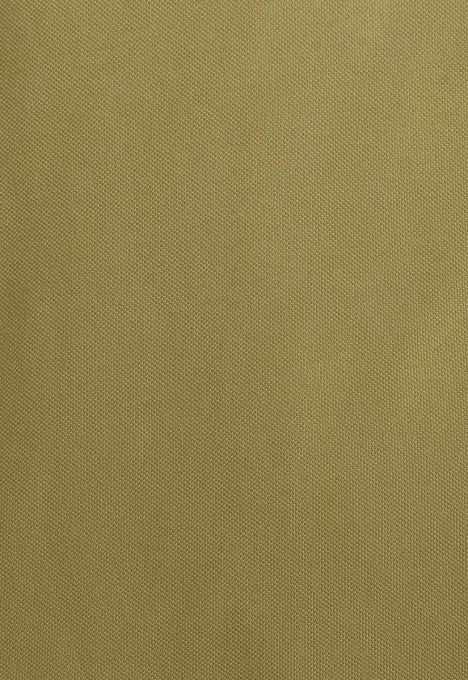 Slim Fit Polo
