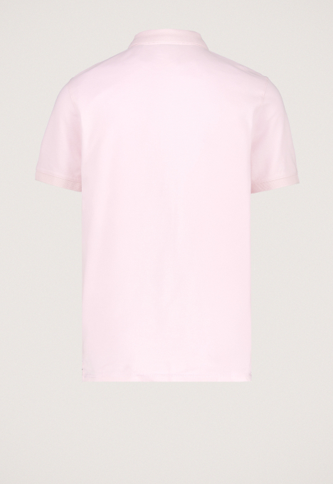 Connor Polo