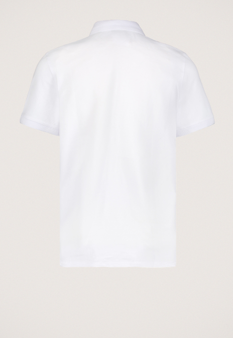 Connor Polo