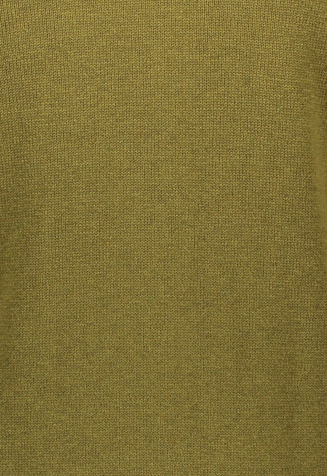 3164 Lesna Coltrui