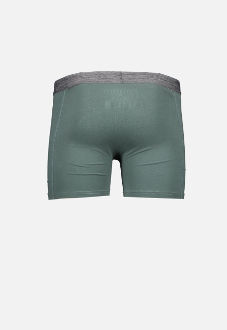 Barry Boxershort