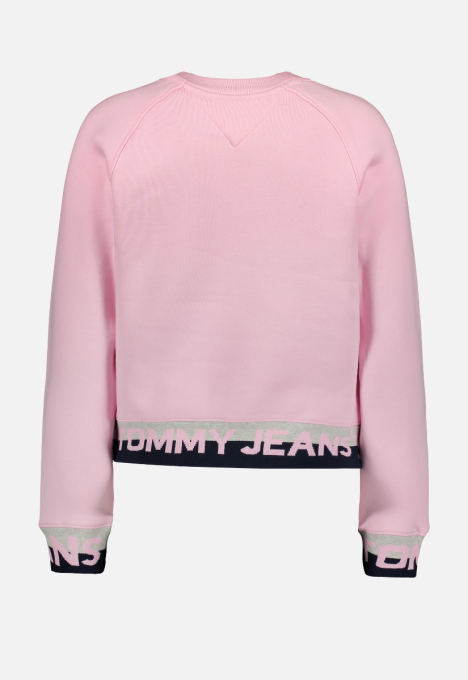 DW0DW08979 Branded Sweater