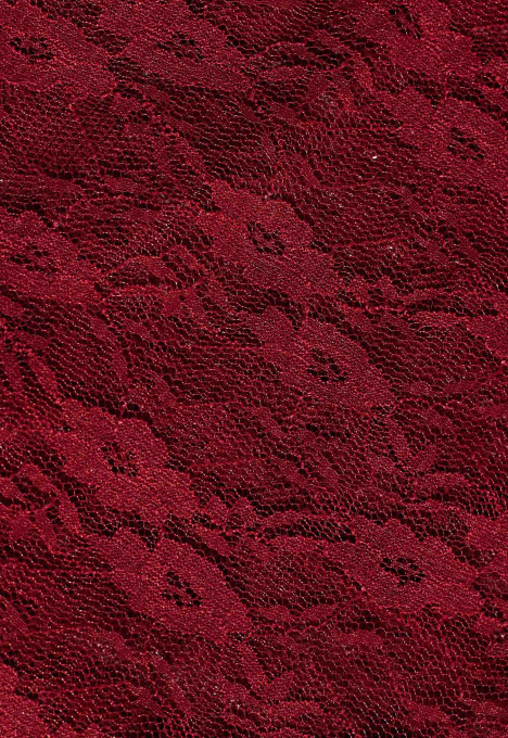  Noe Lace High Neck Top