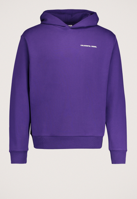 Uni Logo Relaxed Clean Hoodie