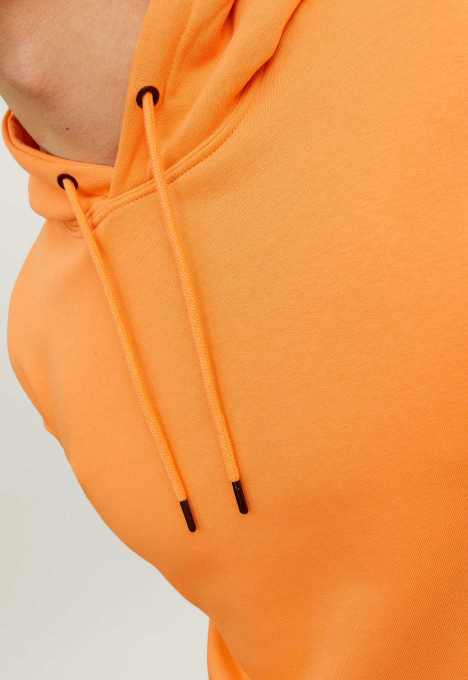 Star Basic Sweat Hoodie