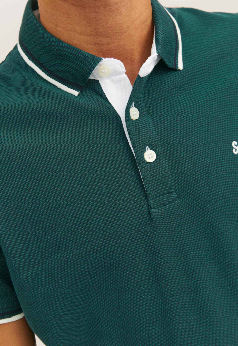 Paulos Polo