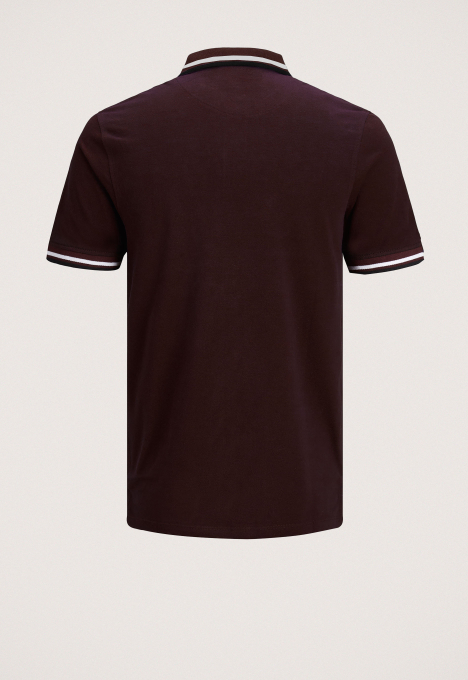 Paulos Polo
