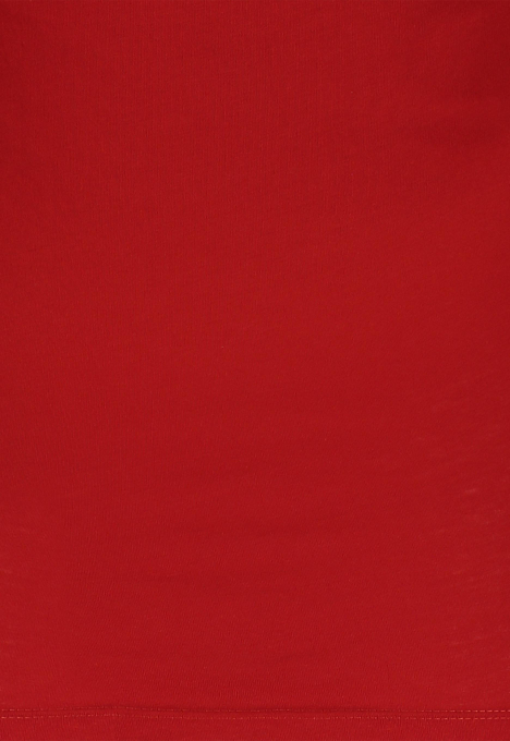 DW0DW08928 Essential Logo T-shirt