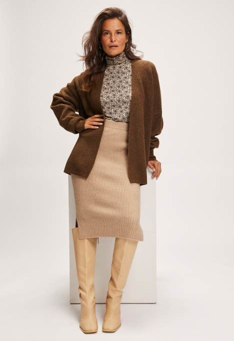 Plutor Rok