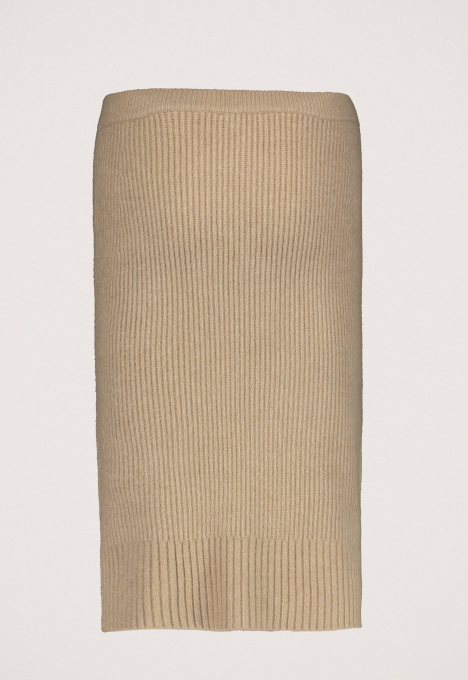 Plutor Rok