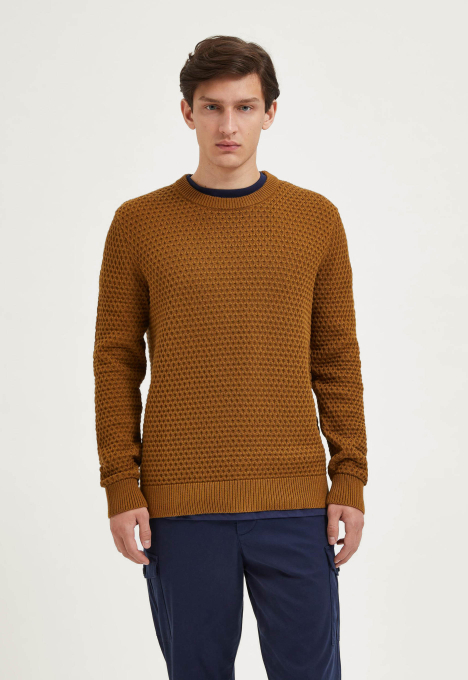 Remy Trui