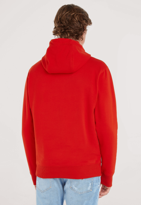 Regular Graphic Hoodie