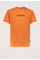 Box 3 Korte Mouwen T-shirt