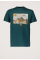 Mt Vans Ss 2 T-shirt