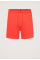 Flag Beach Short