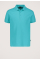 Connor Polo