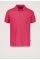 Connor Polo