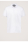 Connor Polo