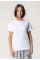 Summer Shell T-Shirt 