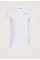 Slim Base T-shirt