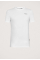 Slim Base T-shirt