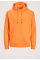 Star Basic Sweat Hoodie