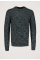 Moss Trui