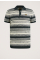 Streep Polo