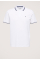 Dante Sport Polo