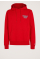 Regular Graphic Hoodie