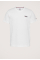 Reg Corp Logo T-shirt