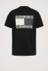 Paisley Flag T-Shirt