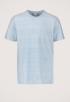 Fender T-Shirt