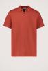 Molo Polo