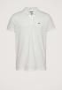 Slim Fit Polo