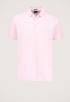 Connor Polo