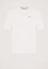 Amy T-Shirt