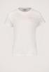 Summer Shell T-Shirt