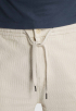 Regular Fit Chino Shorts