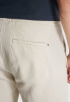 Regular Fit Chino Shorts