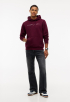 Linear Logo Hoodie 