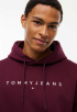 Linear Logo Hoodie 